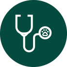 Wellness Exams
